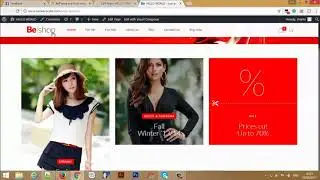 WordPress Customization Services on Envato Studio