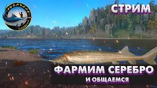 🐟Русская Рыбалка 4🐟ФАРМИМ СЕРЕБРО. КЛЮЕТ ИЛИ НЕТ. [RR4]