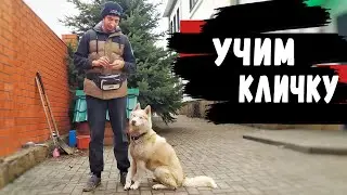 ТОП 3 СПОСОБА - КАК ПРИУЧИТЬ ЩЕНКА К КЛИЧКЕ