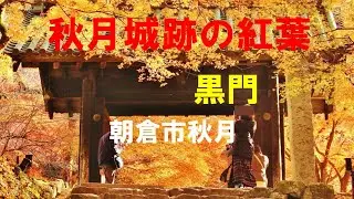 秋月城跡の紅葉 ♪ it's all right