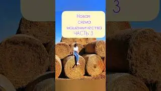 ТЕЛЕФОННЫЕ МОШЕННИКИ. КАК нас РАЗВОДЯТ НА ДЕНЬГИ #мошенничество #разводнаденьги #разводпотелефону