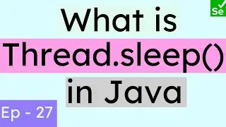 What is Thread.sleep in Java | Types of Waits - Part 3 | Selenium Ninja