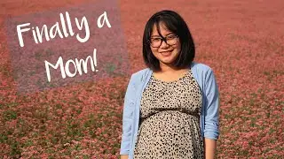 Our Journey to Becoming a Family | Pregnancy to Birth in 4minutes