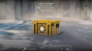 DAY 517 Opening 1 case/day until rare special item