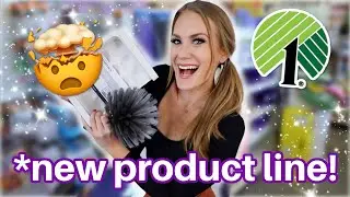 DOLLAR TREE'S NEW PRODUCT LINE! 😱 massive organization haul