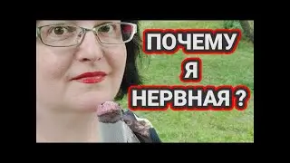 Я в Москве. Тут ЧП.