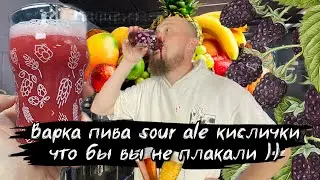 Варка пива sour ale кислички что бы не плакали с ягодками