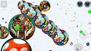 RISK OR DIE (AGARIO MOBILE)