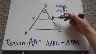 Triangle Similarity Tutorial