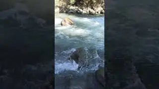 Кыргызстан горная река в ущелье Тургень.
