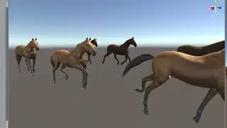 horse gaits take 54506