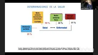 Salud en la nueva constitución
