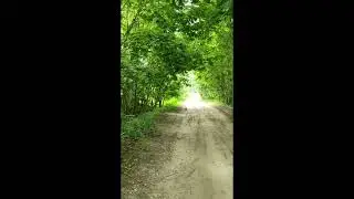 брошенные дома в деревне