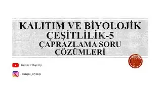 10. Sınıf Kalıtım ve Biyolojik Çeşitlilik -5 (Çaprazlamalar Soru Çözümü)