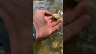Спасение малыша
