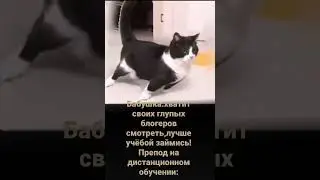 Мем