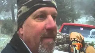 Wood cutting and first snow