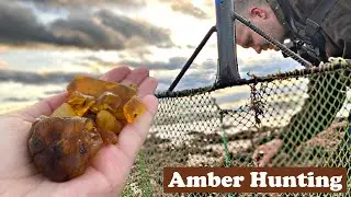 Amber hunting after the storm - Adventure with setbacks