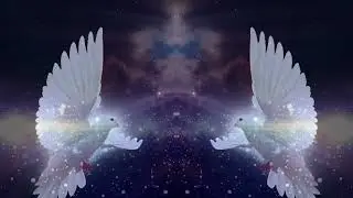 Футаж №469 Птицы Голуби