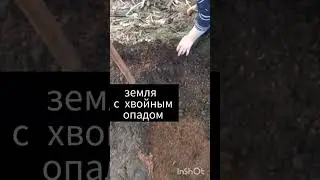Бассейн для клюквы😊