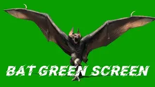 Bat Green screen