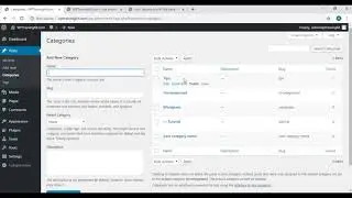 Video 13 – How to add Categories and Tags in your posts
