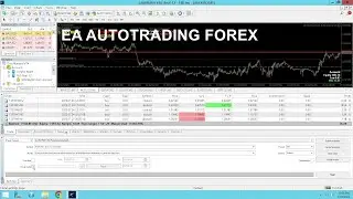 EA AUTOTRADING FOREX DIJAMIN ANTI MC KECIL KEMUNGKINAN..