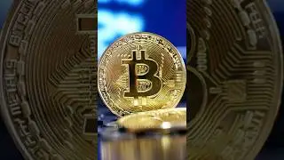 Bitcoin als neuer US-Dollar
