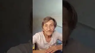 цветы,подсолнух