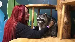 Ентовые поцелуи - самые сладкие