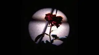 [FREE] Sad Lil Peep x Metallica Guitar Type Beat 'Orion'