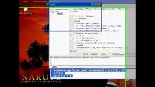 Delphi Handle.avi