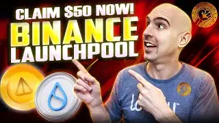 Binance Launchpool | Launchpool Binance | Binance Launchpool for Beginners
