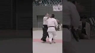 Aikido in Harmony. Warning: Not for Street-fights! 