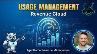 Mastering Usage Management in Salesforce Revenue Cloud: From Setup to Invoicing