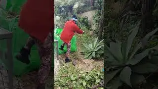 Weekend Fun