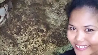 Little crab