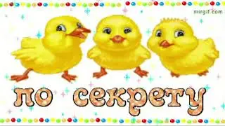 Цыпленок Пи Песня для детей