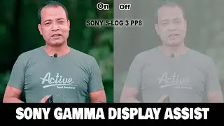 Discover the Hidden Power of SONY ALL CAMERA: Screen and Viewfinder S-Log3 LUT #Photo_Vision
