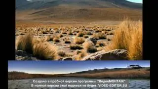 Расследование «Слова»  Поток