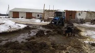 МТЗ 82.1 чистим сарай