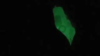 Luminous Glowing Silicone/ adding visual impact to your project in the dark
