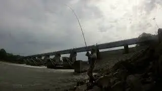 FISHING SAGA #11