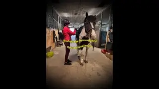 Не пропускаем, продолжаем тренировки