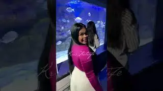 Fui conhecer o maior aquário do Brasil! Fica no Rio de Janeiro AquaRio