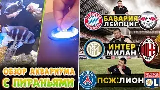 ОБЗОР АКВАРИУМА С ПИРАНЬЯМИ | ПРОГНОЗ на БАВАРИЯ - ЛЕЙПЦИГ , ИНТЕР - МИЛАН , ПСЖ - ЛИОН