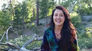 What is Liberation Mystery School?