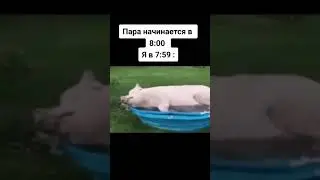 #мем #shorts