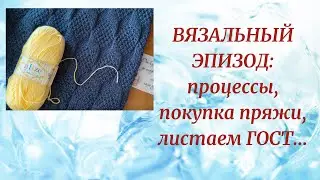 ВЯЗАЛЬНЫЙ ЭПИЗОД: ПРОЦЕССЫ, ПОКУПКА ПРЯЖИ, ЛИСТАЕМ ГОСТ....