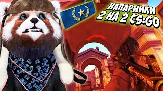 КАК ИГРАЮТ ГОЛД НОВЫ в 2020? - КС ГО НАПАРНИКИ #53